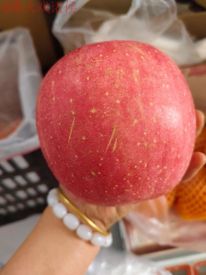 2026世界杯盘口苹果